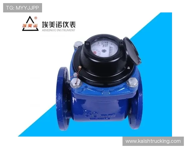 K8.com凯发注册流程与新手指南详细介绍帮助新手快速上手游戏