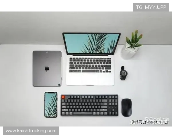 K8电竞官网提供的多平台登录方式与账号安全保障措施